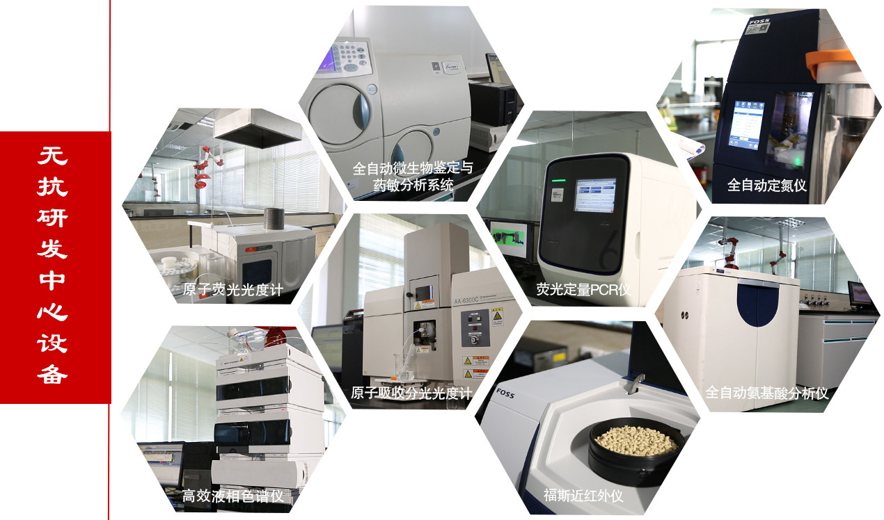 臻美集團 臻美集團