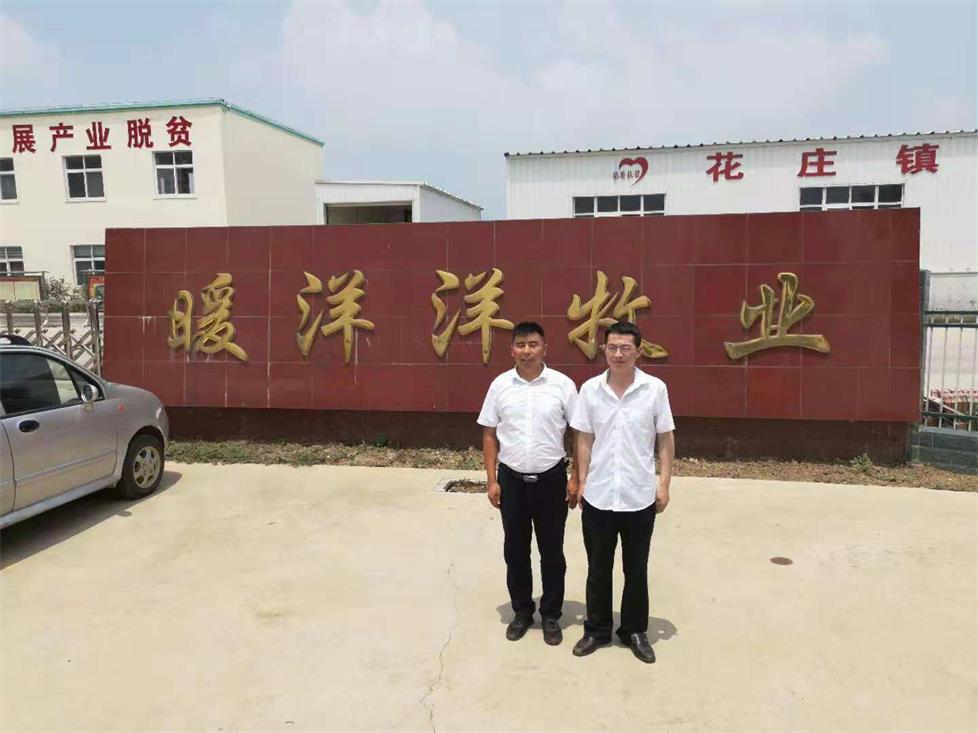 河南暖洋洋農(nóng)牧股份有限公司