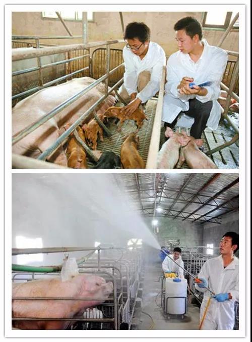 臻美農(nóng)牧集團(tuán) 臻美農(nóng)牧集團(tuán)